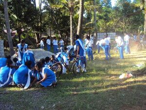 Cleaning12 35052 (2).jpg