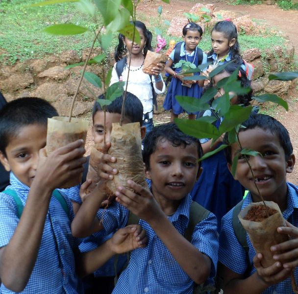 പ്രമാണം:SAM 1367.JPG