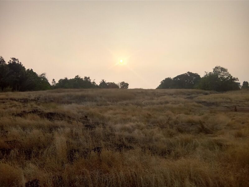 പ്രമാണം:11053 nadu.jpg