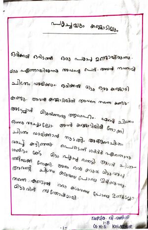 11072-KGD-KUNJ-RASHMIKA V RATHEESH.jpeg