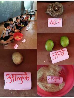 13748-SANSKRIT STD2.jpeg