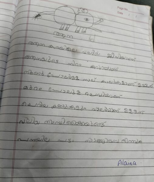 പ്രമാണം:19435 MPM KUNJ ALAINA.jpg