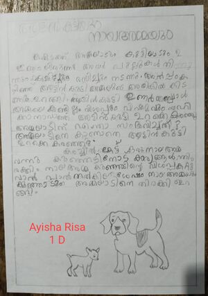 19527-MLP-KUNJ-AYISHA RISA.jpg