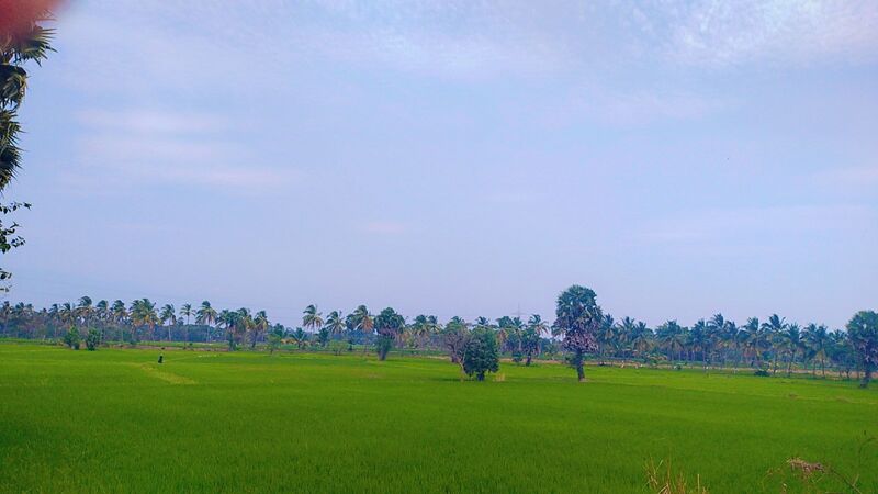 പ്രമാണം:21098 pattanchery-1.jpg