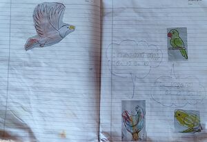 24644-TSR-KUNJ-ADHISH K SANISH.jpg