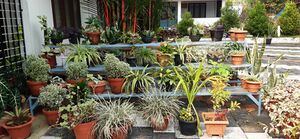 28209-SchoolParisaram (8).jpeg