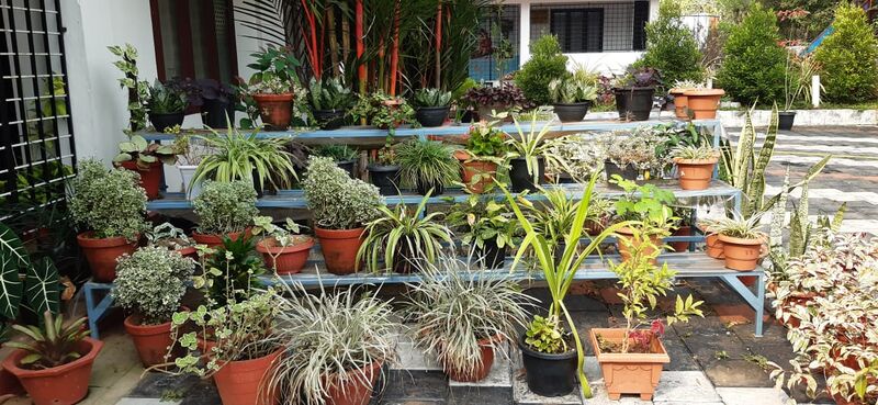 പ്രമാണം:28209-SchoolParisaram (8).jpeg