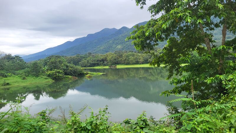 പ്രമാണം:29228 g39.jpg