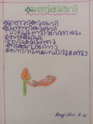 29231-IDK-KUNJ-Aayisha K N.jpg