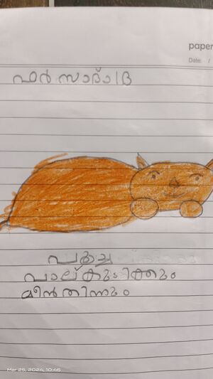 34331-ALP-KUNJ-FARSAD FASIL 1B.jpg