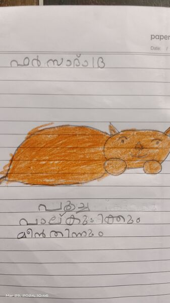 പ്രമാണം:34331-ALP-KUNJ-FARSAD FASIL 1B.jpg