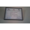 37001 littile kites certificate .jpg