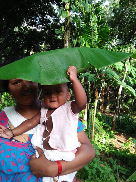 പ്രമാണം:38046 vil1.jpg