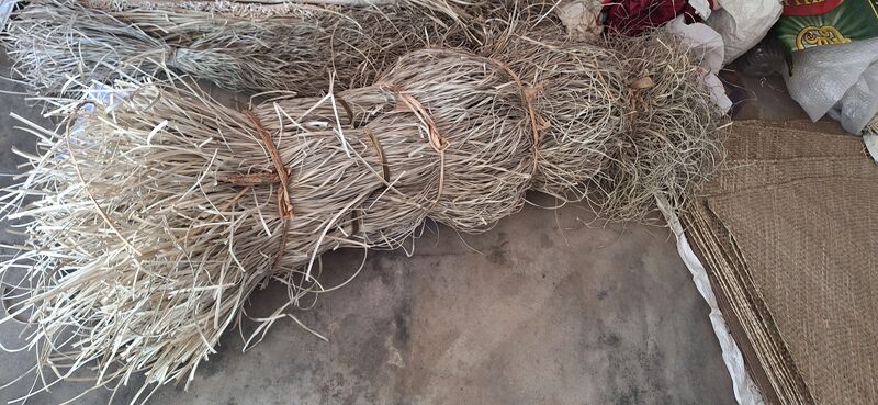 പ്രമാണം:41093 thazha2.jpg