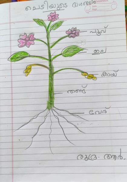 പ്രമാണം:43037-TVM-KUNJ-RUDRA R.jpg