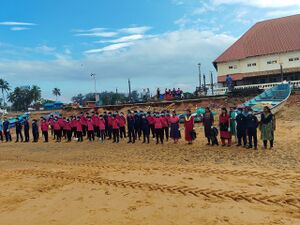 BS TVM 44066 43c.jpeg