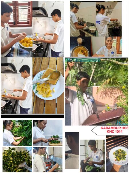 പ്രമാണം:IMAGE J7.jpg