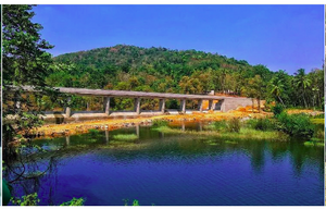 Perumthenaruvi Waterfalls.png