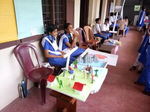 Scfair 17 35052 (4).jpg