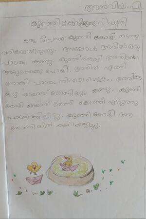 11415-KGD-kunj-Anviya P 2.jpg