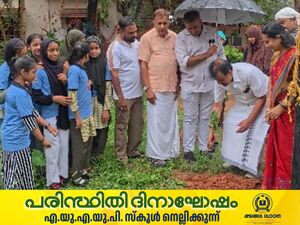 11475 environment day.jpg