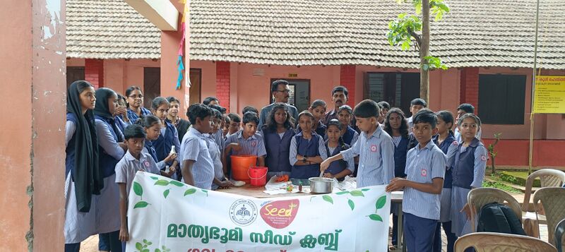 പ്രമാണം:12042 seedsoap.jpg