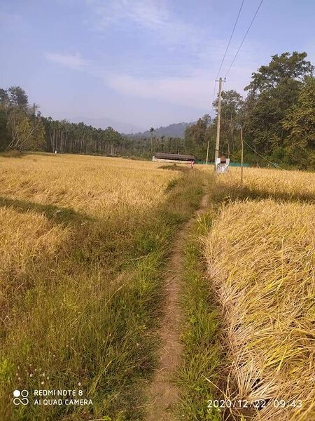 പ്രമാണം:15075 NED2.jpeg