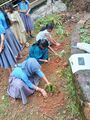 22:16, 17 ജൂൺ 2026-ലെ പതിപ്പിന്റെ ലഘുചിത്രം