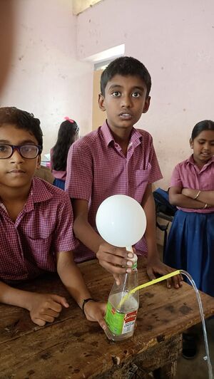 21068 ela23 lp7.jpeg