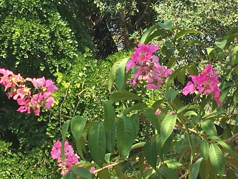 പ്രമാണം:28012 OU4.jpg