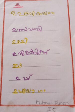 34343 ALP KUNJ MUHAMMED THAMEEM.jpg