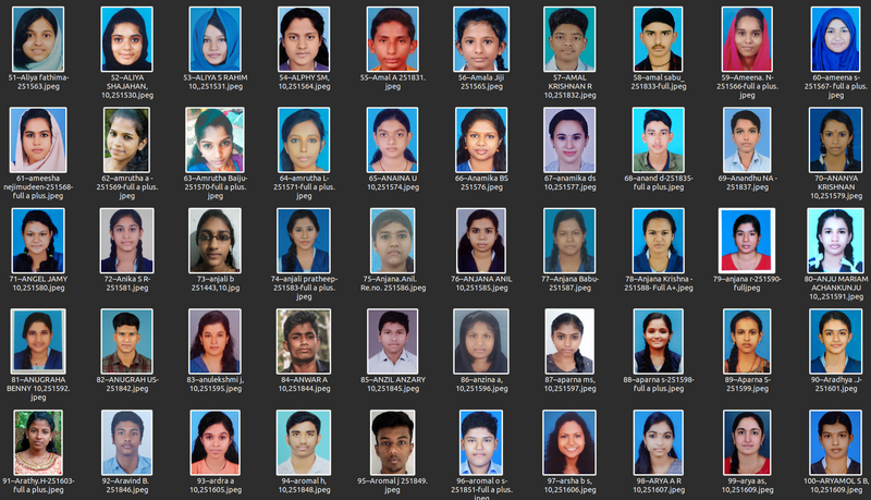പ്രമാണം:40001 SSLC 2021 02.png