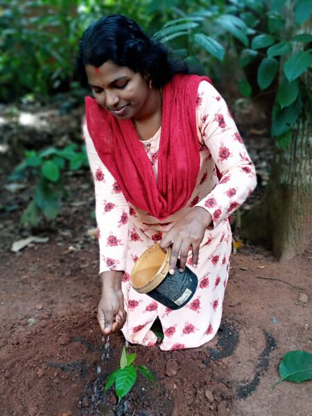 പ്രമാണം:44050 eco 89.jpeg