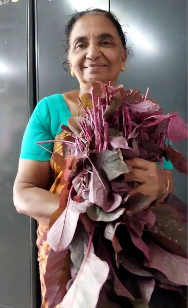 പ്രമാണം:44244 vilavedupp.jpg