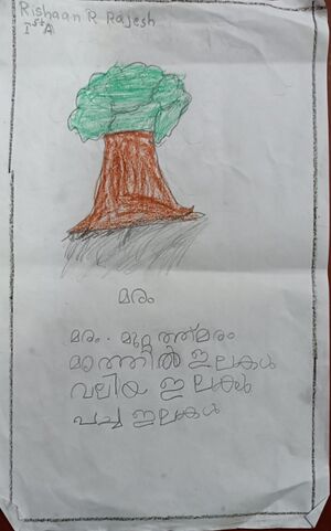 45012-KTM-KUNJ-Rishaan R Rajesh.jpeg