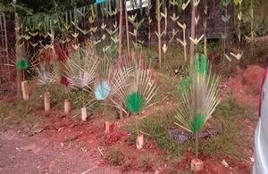 BS21 KGD 11033 2.jpg