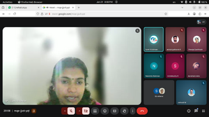 Drcmlp-nilambur- lkmentor-jan29-1.png