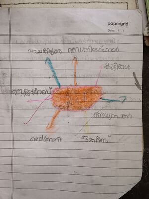 RUBANA FATHIMA(1).jpg