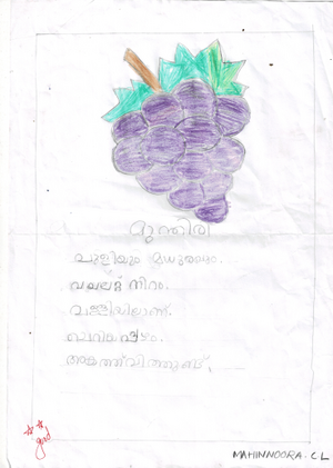 12044-KGD-KUNJU-KASINATH S VIJESH.png