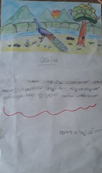 പ്രമാണം:13452 -KNR-KUNJU -ABHAY KRISHNSA V.jpg