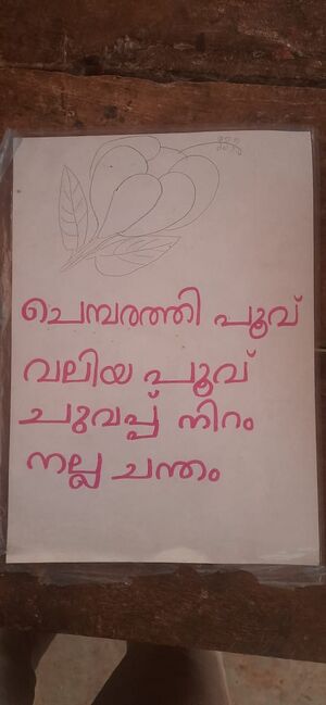 18355-MLP-KUNJ-MUHAMMED THUFAUL 1D.jpg