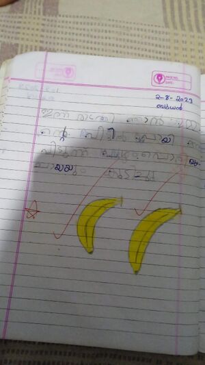 18621-MLP-KUNJ-MUHAMMAD AJSAL M.jpeg