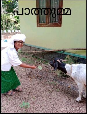 19403 2B 2022 - 5.jpg