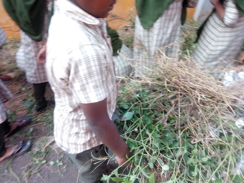 പ്രമാണം:19413 ശുചിത്വക്ലബ്ബ് 8.jpeg