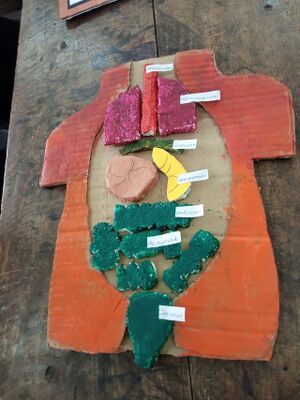 19777 SCIENCE FEST.jpg