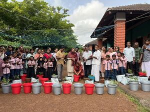 19833-MLP- AEO (1).jpg