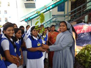 21001 environment 1jpg.jpg