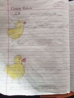 22417-TSR-KUNJ-EVANA ROBIN.jpg