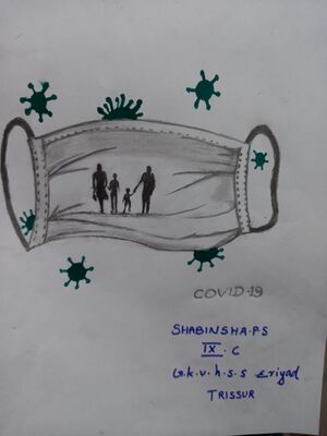 23014-SHABINSHA 9C.JPG