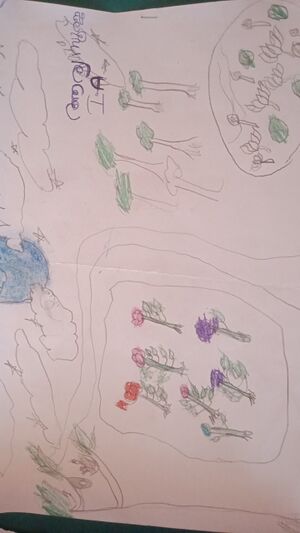 23357-TSR-KUNJ-ARYA SURAJ.jpg